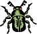 virus